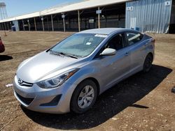 Salvage cars for sale at Phoenix, AZ auction: 2016 Hyundai Elantra SE