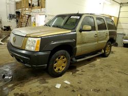 Salvage cars for sale from Copart Ham Lake, MN: 2003 Cadillac Escalade Luxury