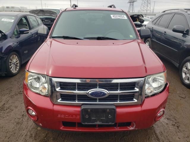 2009 Ford Escape XLT