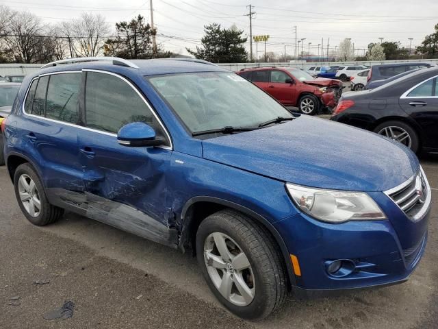 2010 Volkswagen Tiguan S