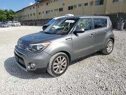 Salvage cars for sale from Copart Opa Locka, FL: 2019 KIA Soul +