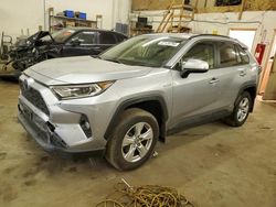 Salvage cars for sale at Ham Lake, MN auction: 2021 Toyota Rav4 XLE