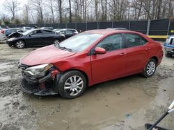 Salvage cars for sale at Waldorf, MD auction: 2014 Toyota Corolla L