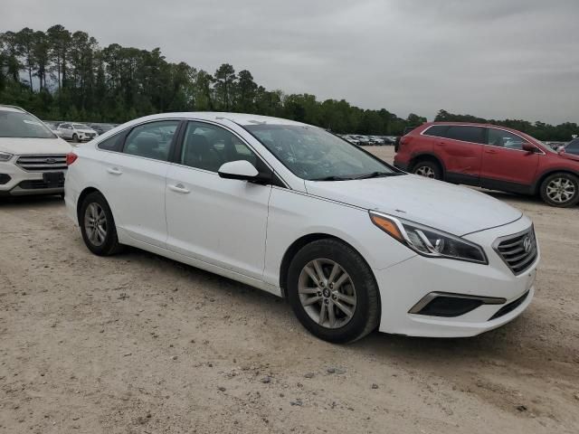 2016 Hyundai Sonata SE