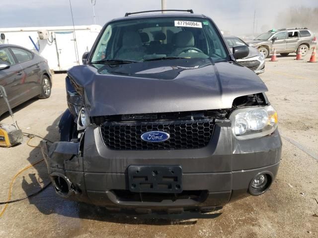 2005 Ford Escape XLT