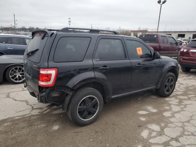 2011 Ford Escape XLT