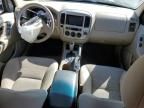 2005 Ford Escape XLT