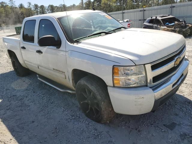 2010 Chevrolet Silverado C1500  LS