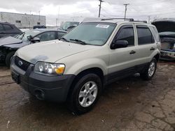 Salvage cars for sale at Chicago Heights, IL auction: 2005 Ford Escape XLT