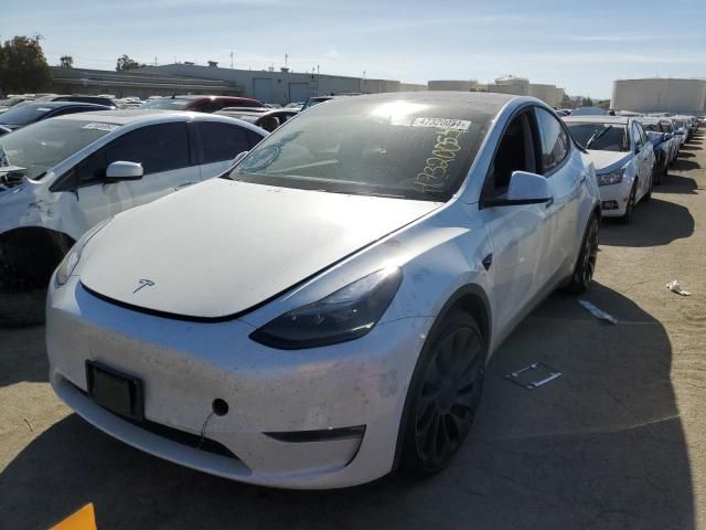 2022 Tesla Model Y