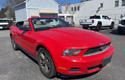 Ford salvage cars for sale: 2012 Ford Mustang