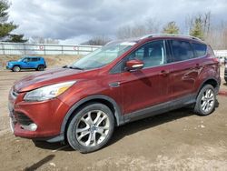 2014 Ford Escape Titanium en venta en Davison, MI