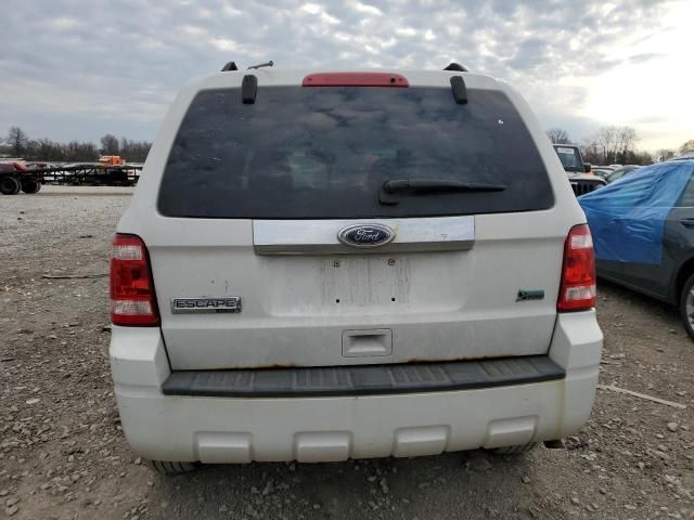 2011 Ford Escape Limited