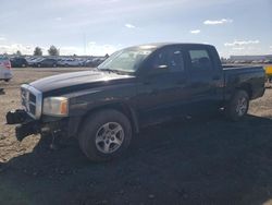 Dodge Dakota salvage cars for sale: 2007 Dodge Dakota Quad SLT