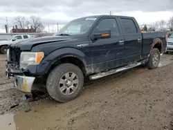 Salvage cars for sale at Lansing, MI auction: 2009 Ford F150 Supercrew