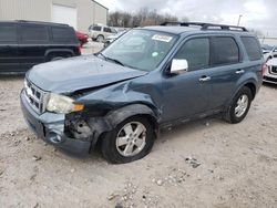 Salvage cars for sale at Lawrenceburg, KY auction: 2012 Ford Escape XLT