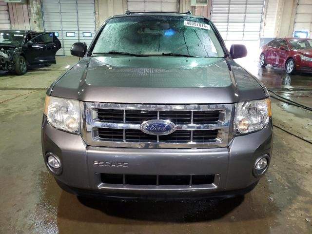 2009 Ford Escape XLT