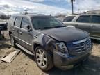 2011 Cadillac Escalade Luxury