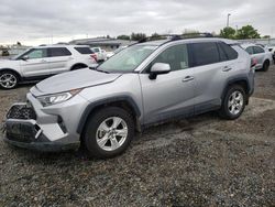 Toyota Rav4 XLE salvage cars for sale: 2020 Toyota Rav4 XLE