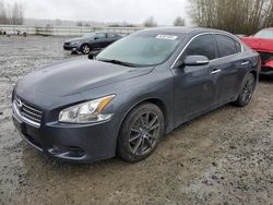 Nissan Maxima S salvage cars for sale: 2009 Nissan Maxima S