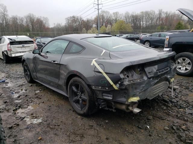 2019 Ford Mustang