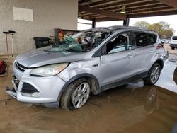 Salvage cars for sale at Tanner, AL auction: 2013 Ford Escape SEL