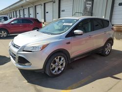 Ford Escape sel salvage cars for sale: 2013 Ford Escape SEL