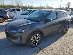 Salvage cars for sale at Bridgeton, MO auction: 2020 Ford Escape SE Sport