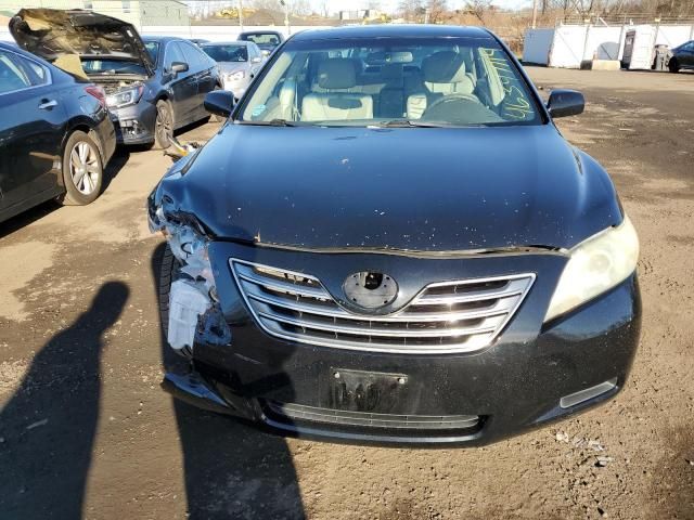 2009 Toyota Camry Hybrid