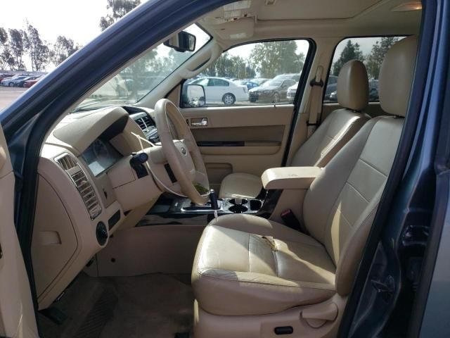 2010 Ford Escape Limited