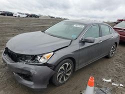 Honda Accord salvage cars for sale: 2017 Honda Accord EXL