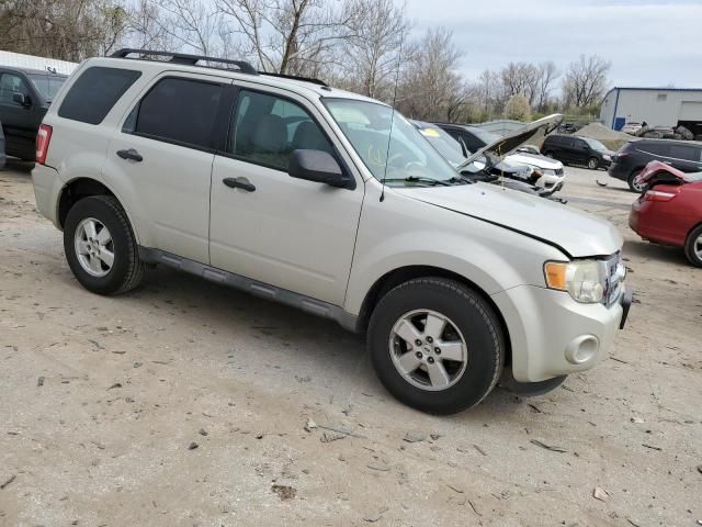 2009 Ford Escape XLT