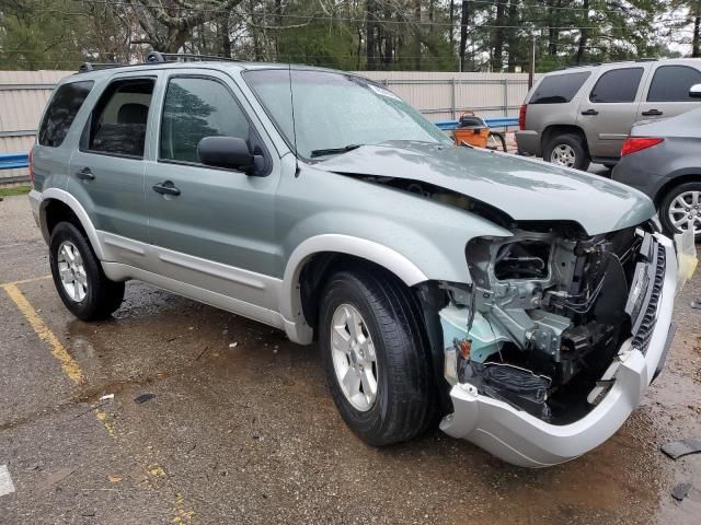 2007 Ford Escape XLT