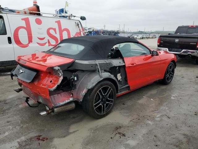 2019 Ford Mustang