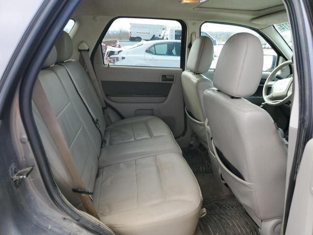 2010 Ford Escape XLT