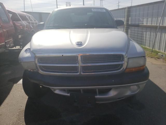 2004 Dodge Dakota Sport