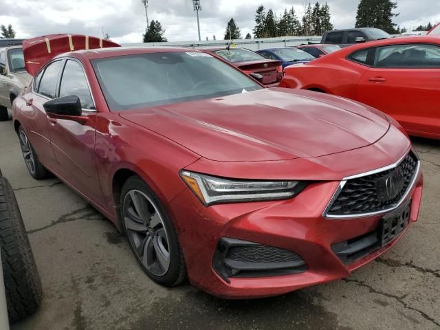 2021 Acura TLX Advance