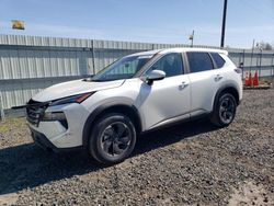 Salvage cars for sale at auction: 2024 Nissan Rogue SV