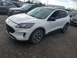 Salvage cars for sale at Bridgeton, MO auction: 2020 Ford Escape SE Sport