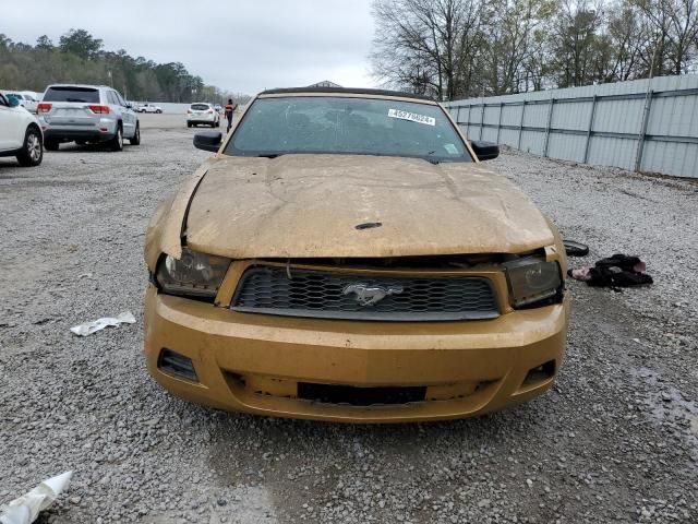 2010 Ford Mustang