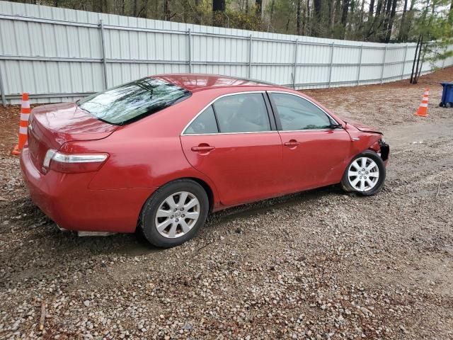 2009 Toyota Camry Hybrid