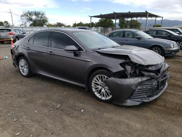 2019 Toyota Camry Hybrid