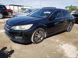 Honda salvage cars for sale: 2013 Honda Accord EXL