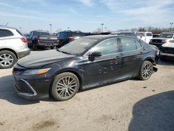 Toyota Camry XLE salvage cars for sale: 2021 Toyota Camry XLE