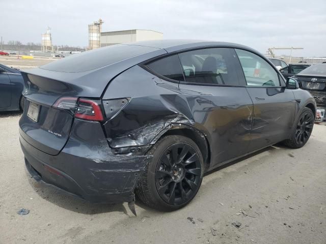 2020 Tesla Model Y