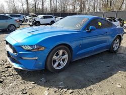 Muscle Cars for sale at auction: 2019 Ford Mustang