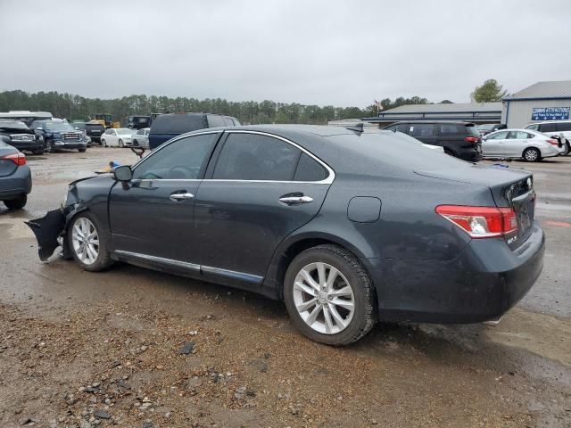 2010 Lexus ES 350