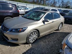 Carros dañados por granizo a la venta en subasta: 2013 Honda Accord EXL