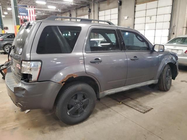 2009 Ford Escape XLT