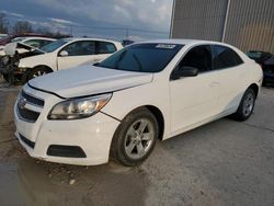 Chevrolet Malibu Vehiculos salvage en venta: 2013 Chevrolet Malibu LS